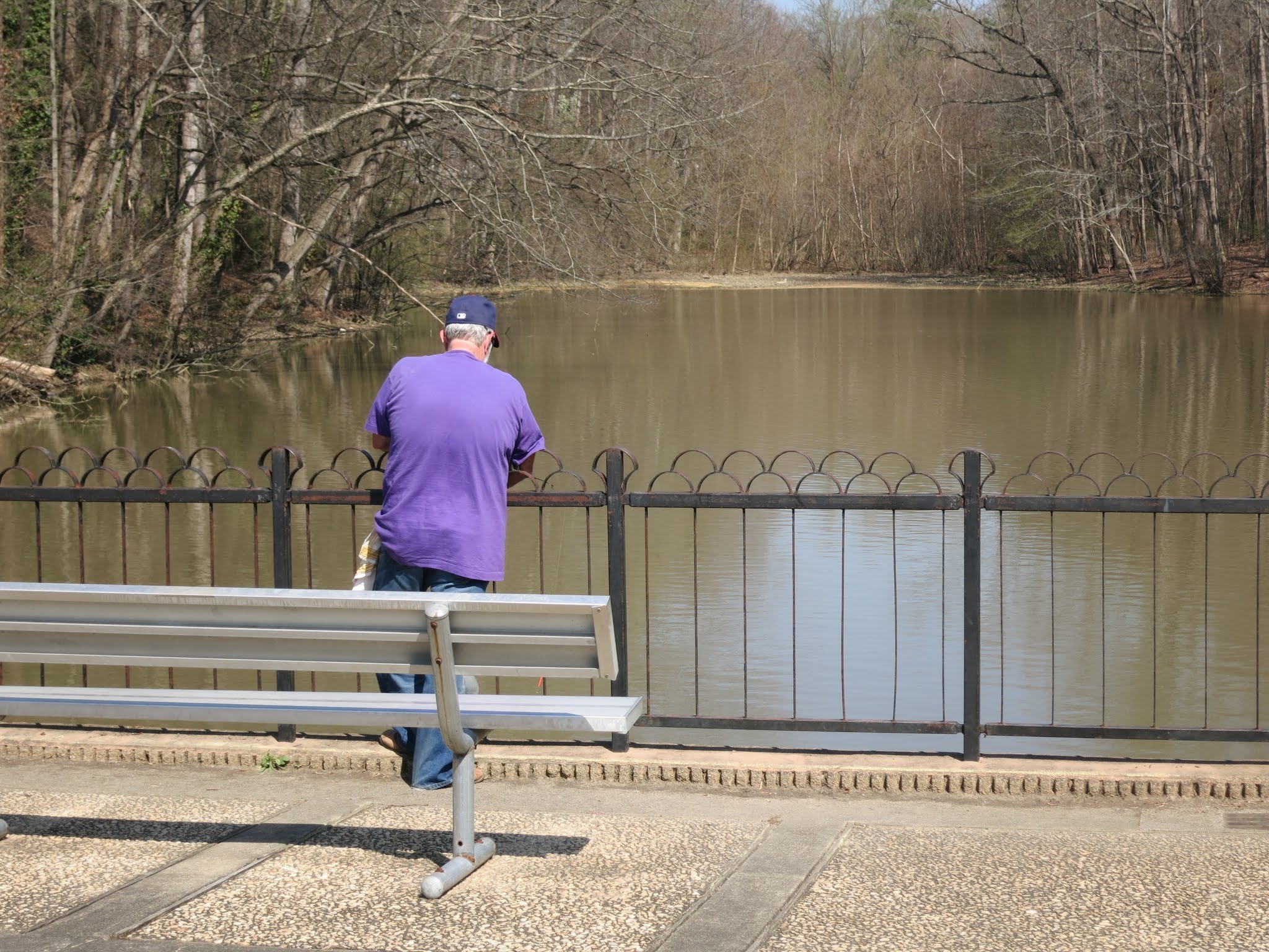 Cooper's Pond, Eastgate Park, Best Raleigh Neighborhoods, Parks and Trails, Midtown