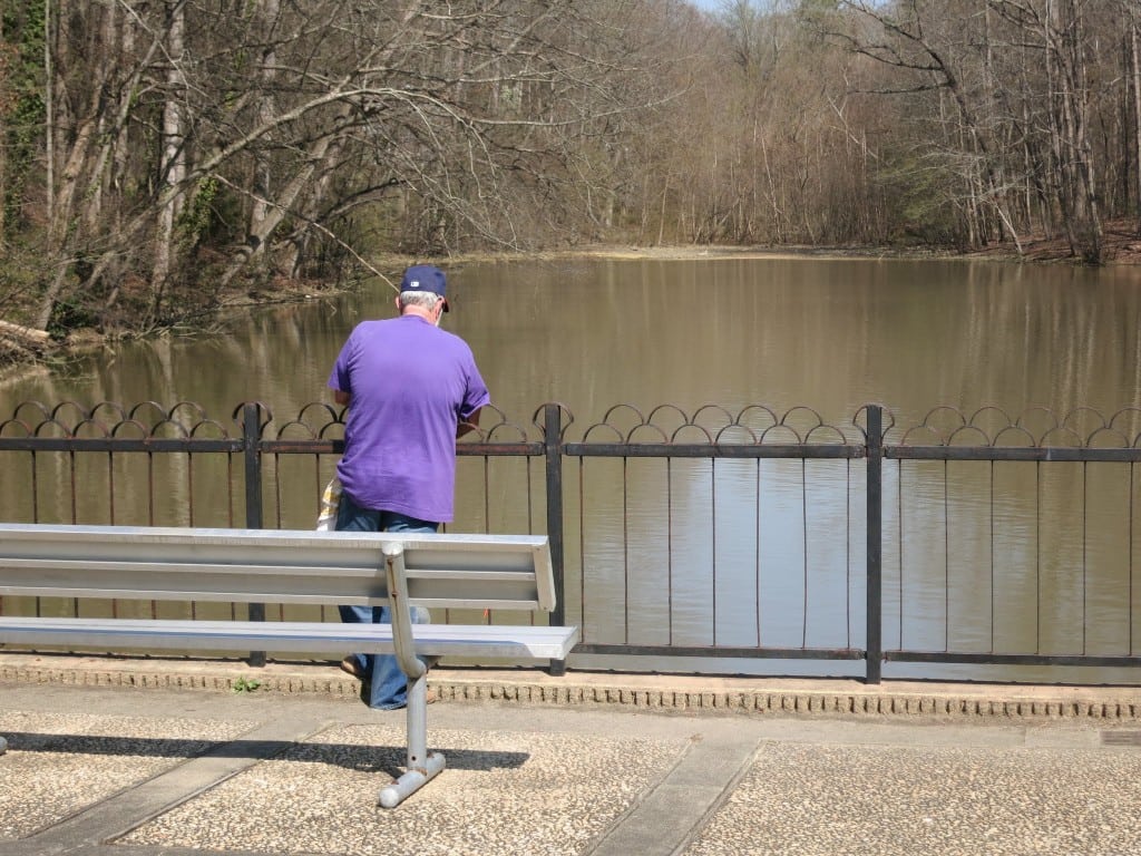 Cooper's Pond, Eastgate Park, Best Raleigh Neighborhoods, Midtown, Eastgate Park