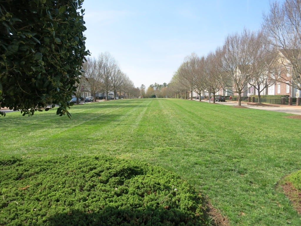 The Commons as Seen from the Clock Tower. Looking Toward Recreation Center, Best Raleigh Neighborhoods, North Raleigh, Bedford