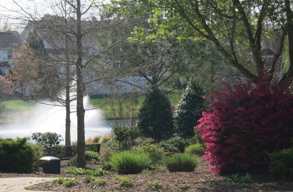 N. End of Lake from Falls River Ave. at Chandler Way. Chandler Circles Lake and Rejoins Falls River Ave. to East. , Best Raleigh Neighborhoods, North Raleigh, Bedford
