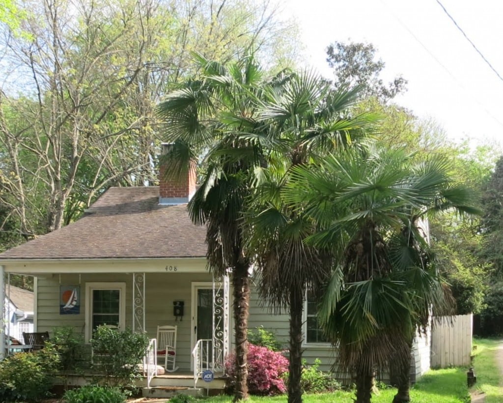 408 Glascock Street. Palms are doing well for Raleigh. Best Raleigh Neighborhoods, Inside-the-Beltline, Mordecai