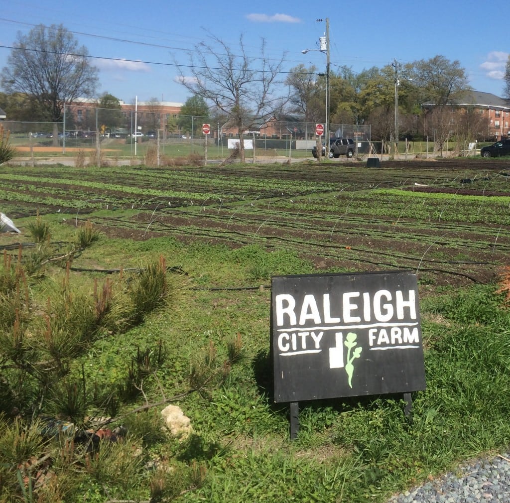 Raleigh City Farm-Mordecai, Best Raleigh Neighborhoods, Inside-the-Beltline, Mordecai Neighborhood, Mordecai Subdivision
